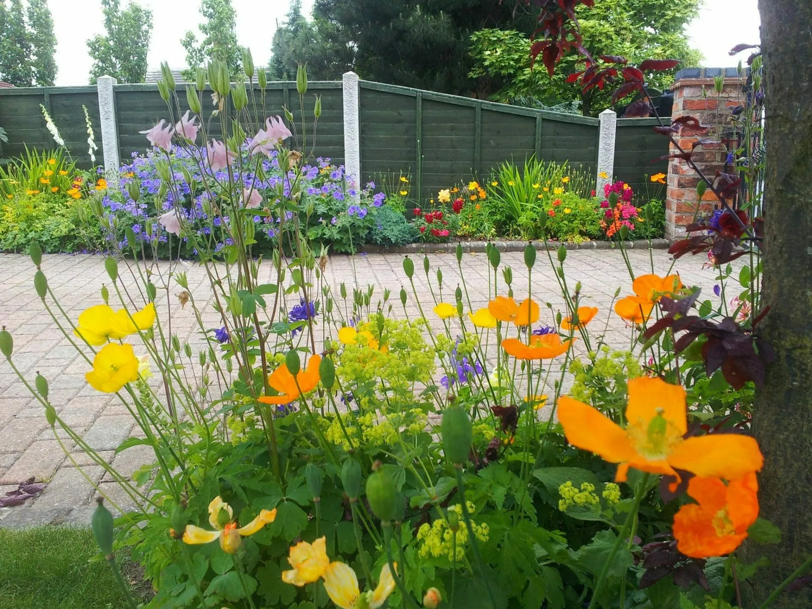 Decorative gravel or flowers & top soil? Plan your Summer 2014 garden