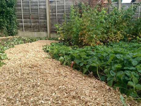 Your garden and mulching