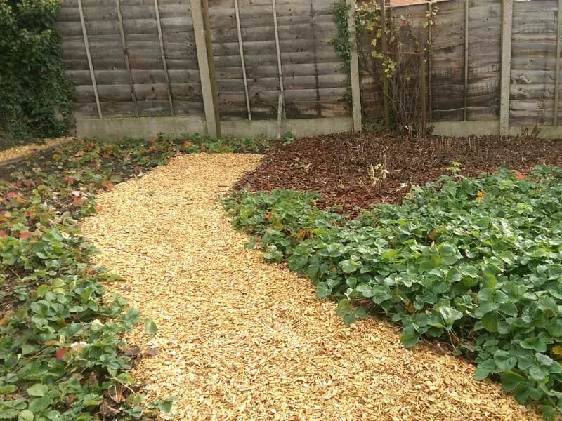 Why every landscape gardener has bark chippings in their arsenal!