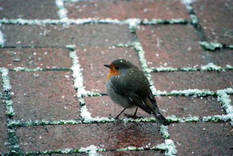 Get rid of slippery driveways once and for all