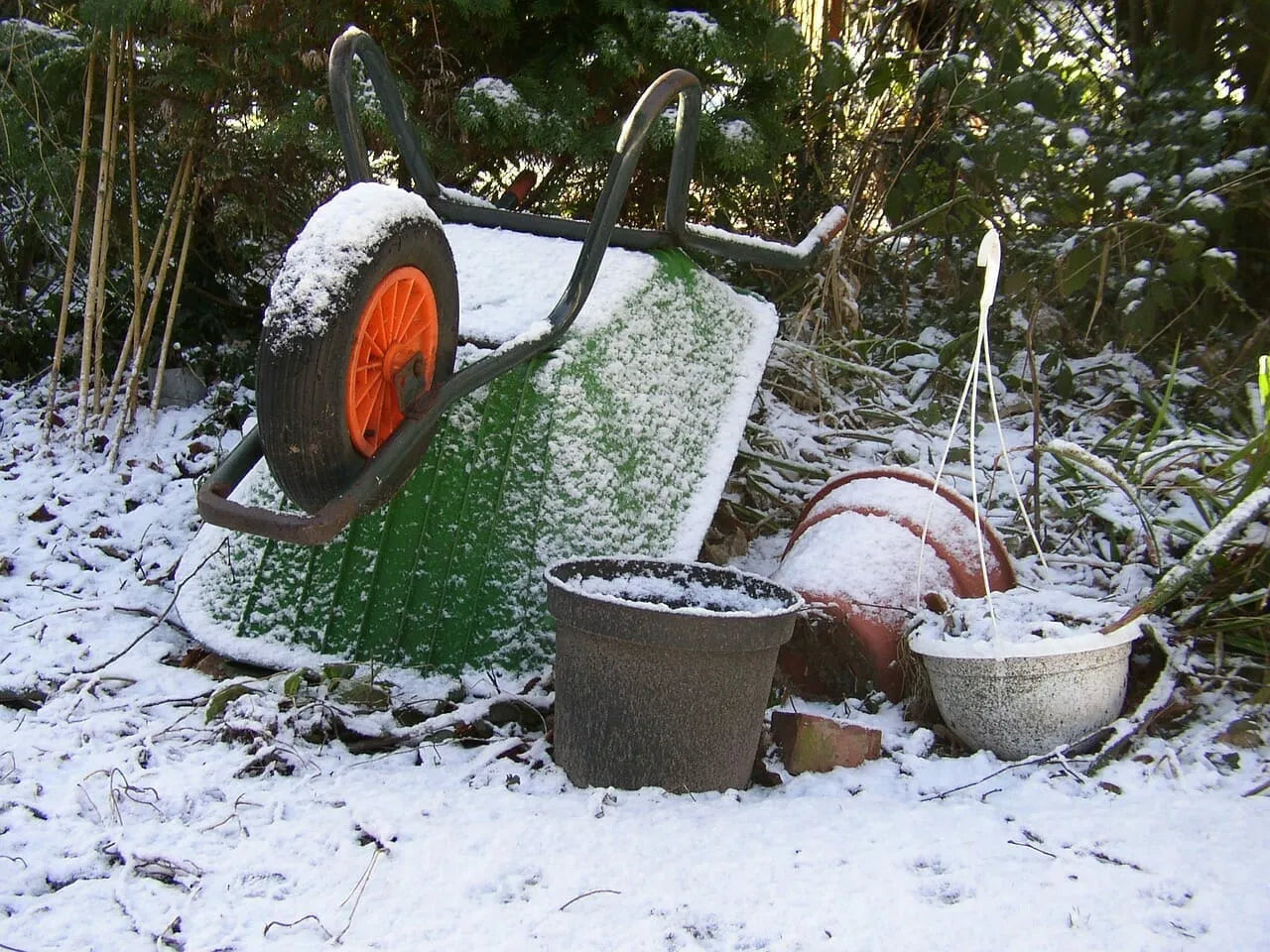 Inspire the look of your garden this winter