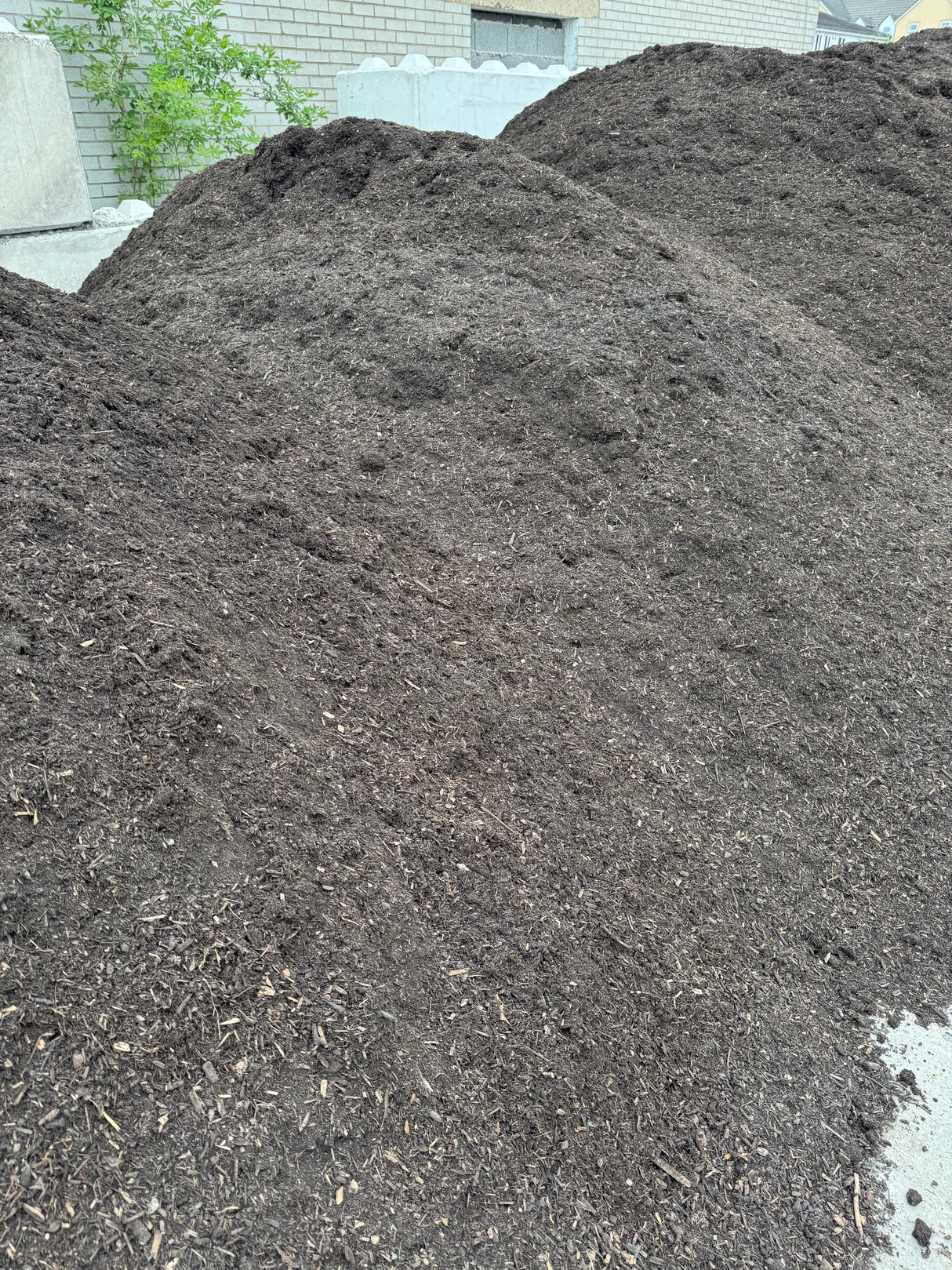 Organic Soil Conditioner/Compost